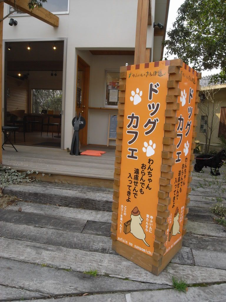 &#12422;&#12405;&#12356;&#12435;12