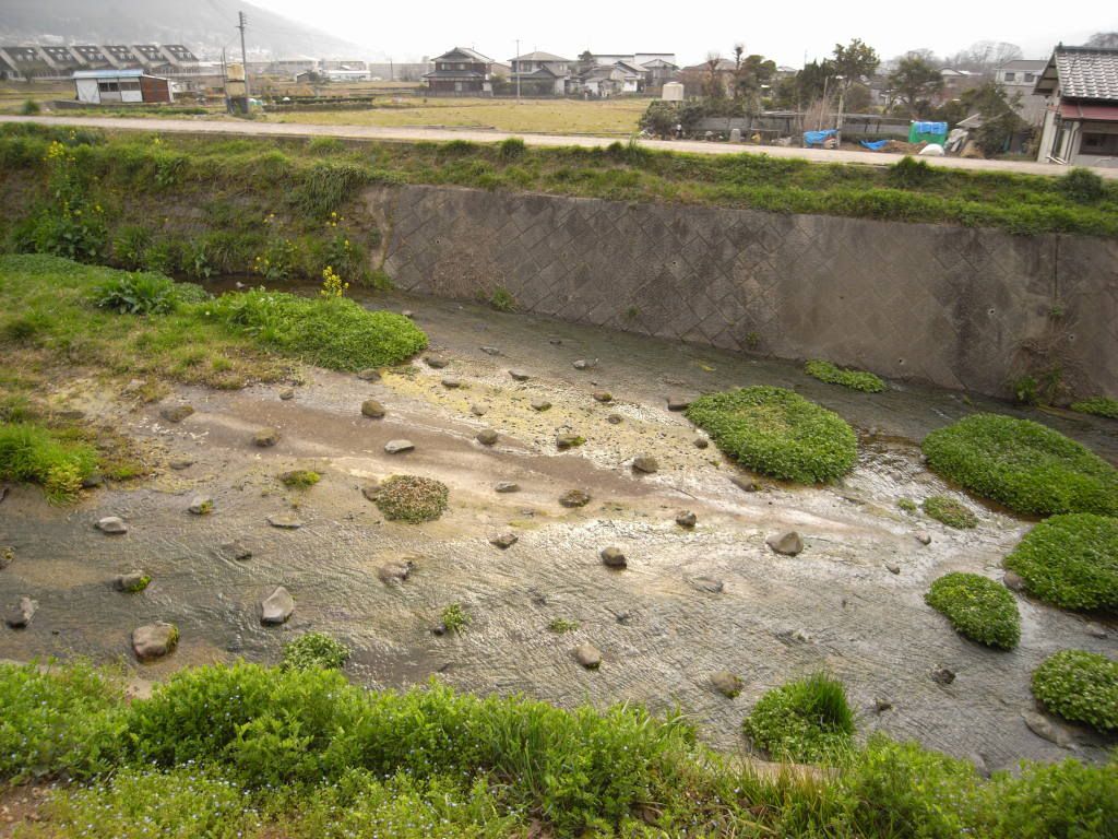 &#12422;&#12405;&#12356;&#12435;08