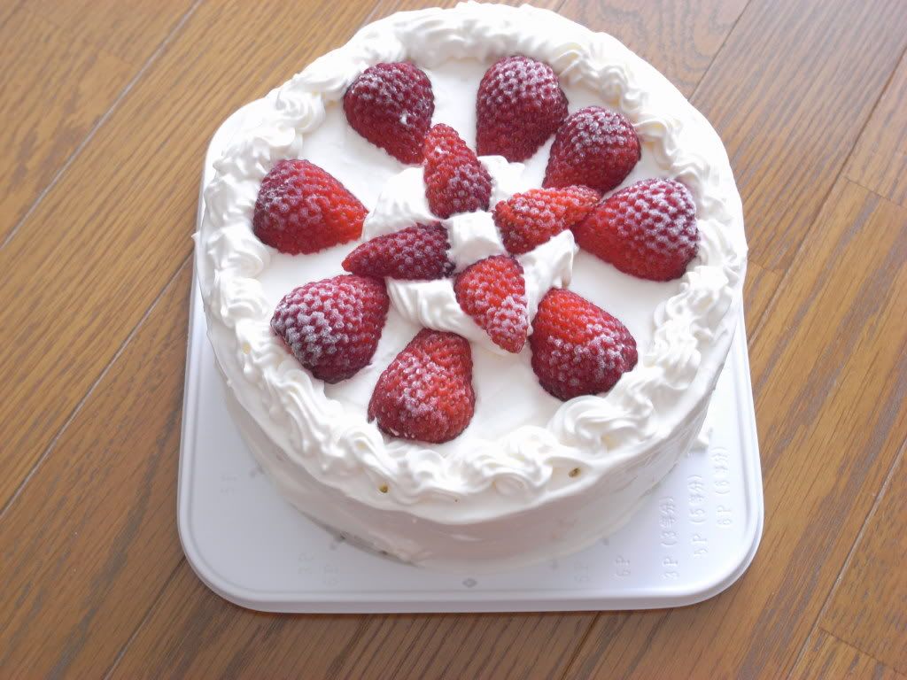 birthday cake 2009/02