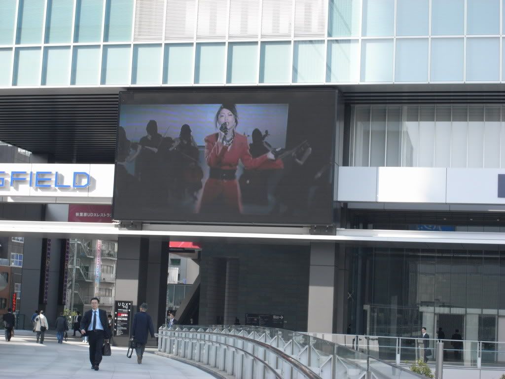 &#31179;&#33865;&#21407;02