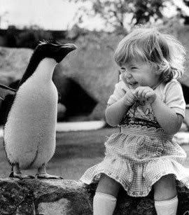 l 2478cf294f90f8b8c311eb30a3dd35 1