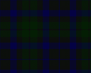 http://i211.photobucket.com/albums/bb309/hammersfan_01/Tartans/Government.gif