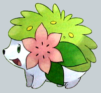 z_sugi_normal_shaymin.png
