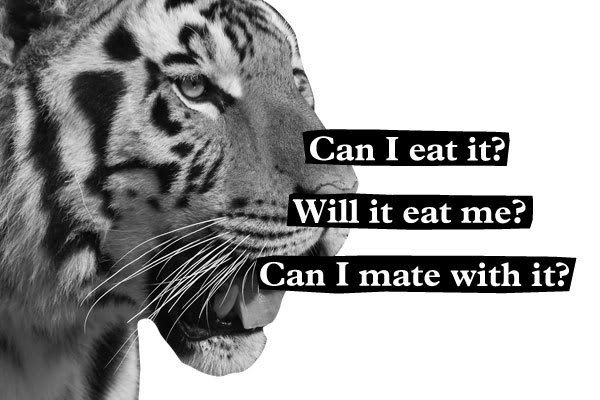 Hunter Gatherer