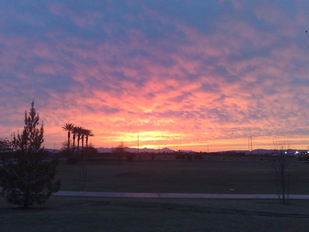 03082009015.jpg