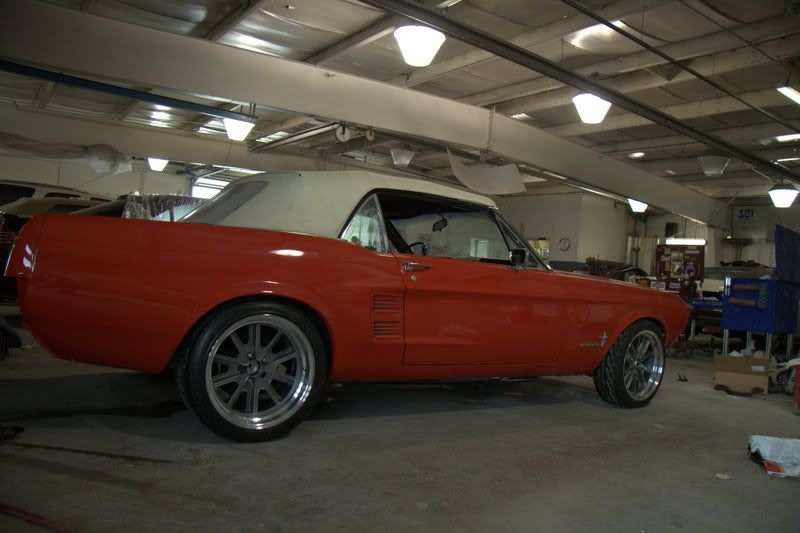 IMAGE: http://i211.photobucket.com/albums/bb318/jaysphotos76/IMG_1648.jpg