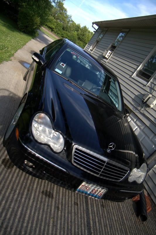 IMAGE: http://i211.photobucket.com/albums/bb318/jaysphotos76/IMG_2410-1.jpg