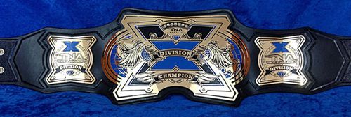  photo New_TNA_X_Division_Championship_zpszndodtz5.jpg