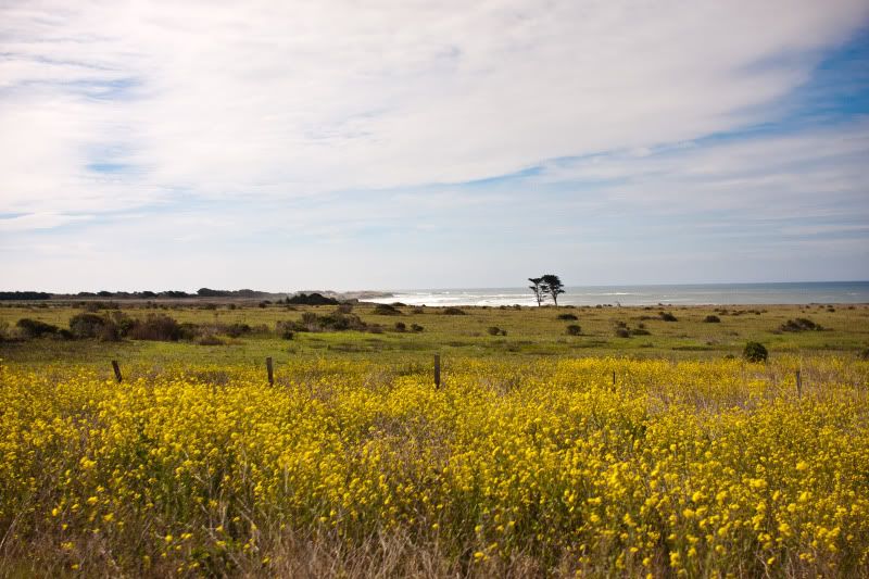 IMAGE: http://i211.photobucket.com/albums/bb35/emcbane/6449ef62.jpg