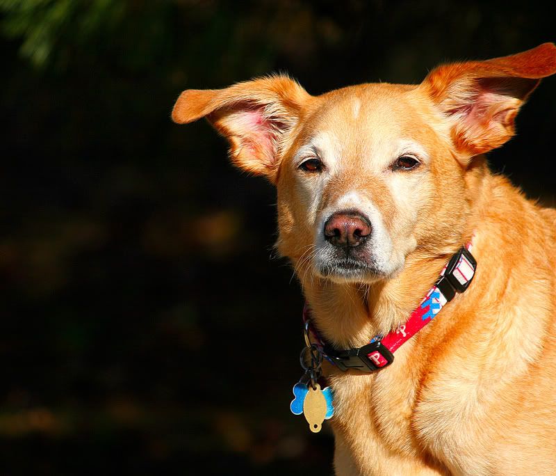 IMAGE: http://i211.photobucket.com/albums/bb35/emcbane/IMG_4859.jpg