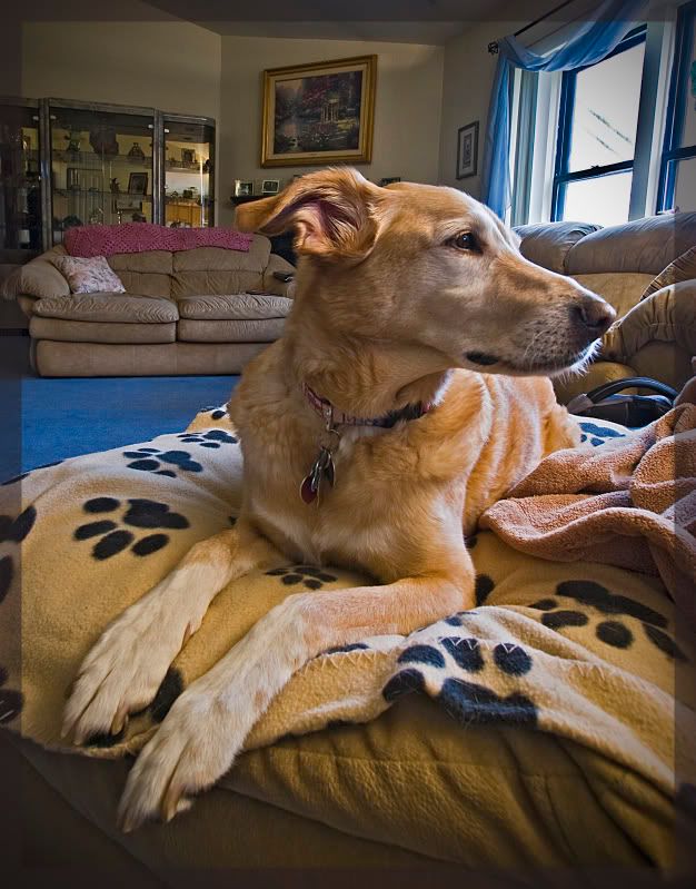 IMAGE: http://i211.photobucket.com/albums/bb35/emcbane/IMG_5467.jpg