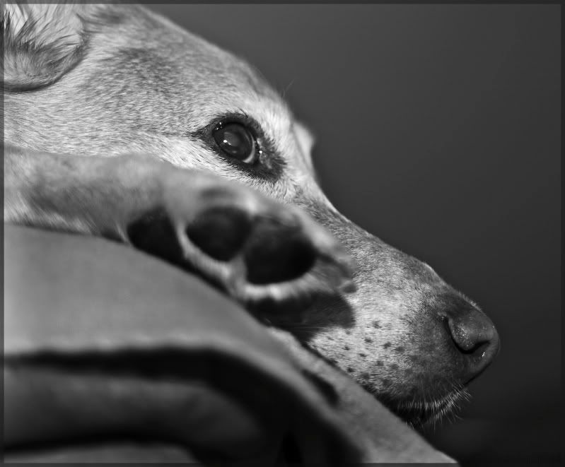 IMAGE: http://i211.photobucket.com/albums/bb35/emcbane/IMG_5747-1.jpg