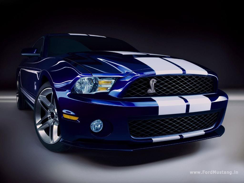 Shelby_GT500_1280_1024.jpg