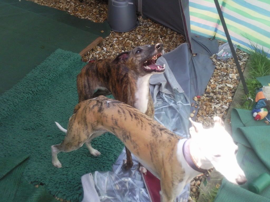 Pic1538.jpg