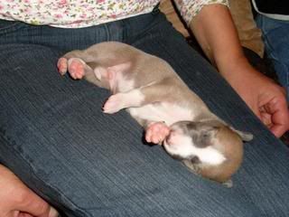 fynn020.jpg