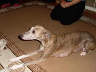 fynn027.jpg
