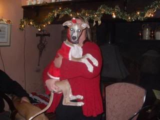 xmasfynn001.jpg