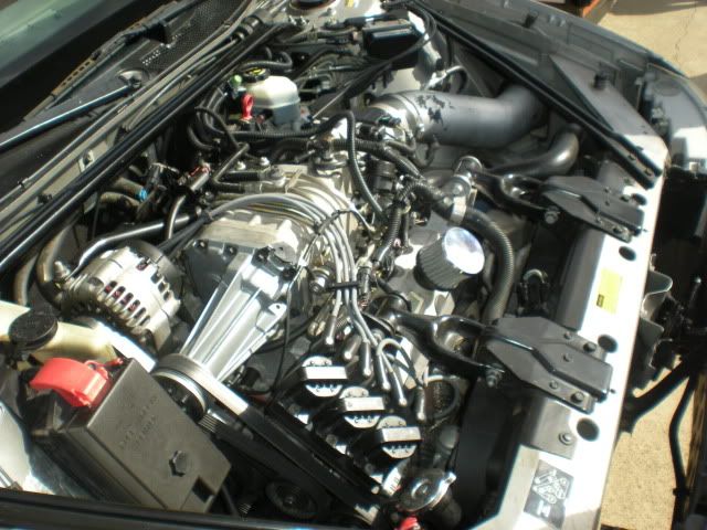 DSCN0903.jpg