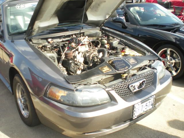 DSCN0910.jpg