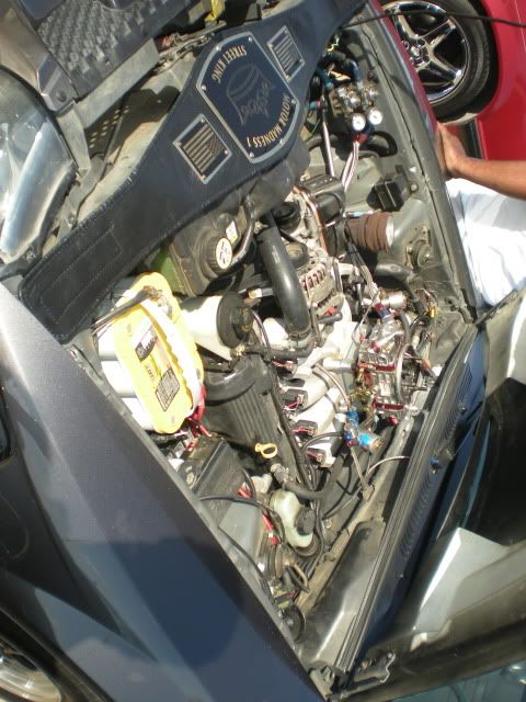 DSCN0919.jpg
