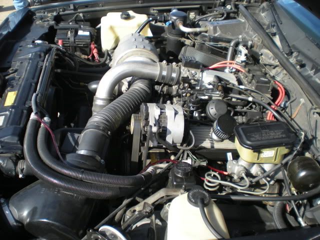DSCN0925.jpg