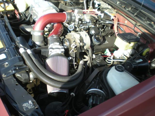DSCN0929.jpg