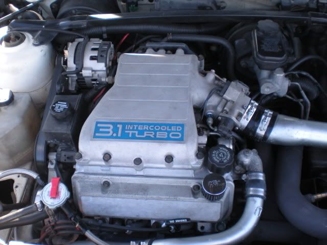 DSCN0942.jpg
