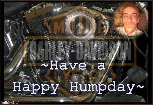 HAPPY HUMP DAY!!