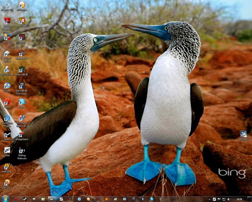 whatanimalisthis.jpg