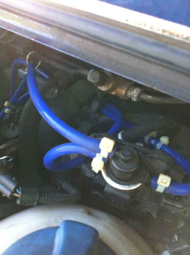 2.5TDI Vacume / EGR - Page 4 - VW T4 Forum - VW T5 Forum rx 8 vacuum diagram 