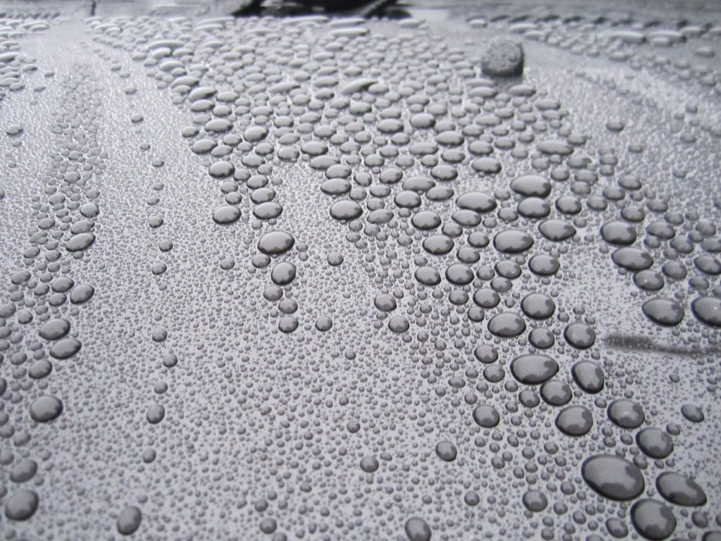 Dripping wet beading Detailing World Forum