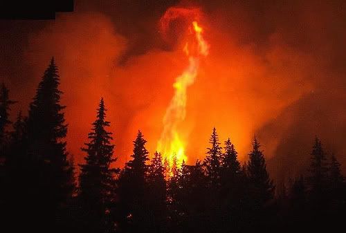 fire
