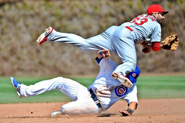 Cardinals_zps04e70f2d.jpg