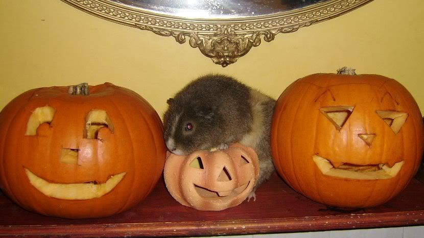 APhilHalloween.jpg