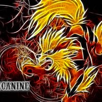 Arcanine Wallpaper Pictures Images Photos Photobucket