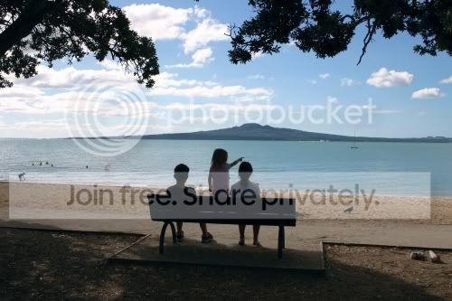 Rangitotoparkbench.jpg