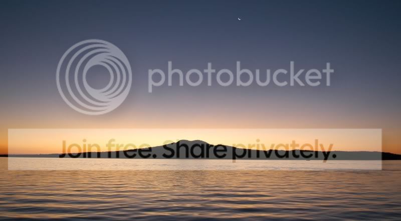 auckland800x442.jpg
