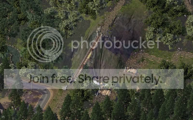 Bungy5.jpg