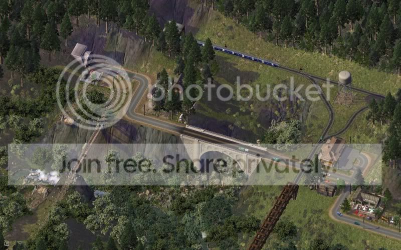 Bungy6.jpg