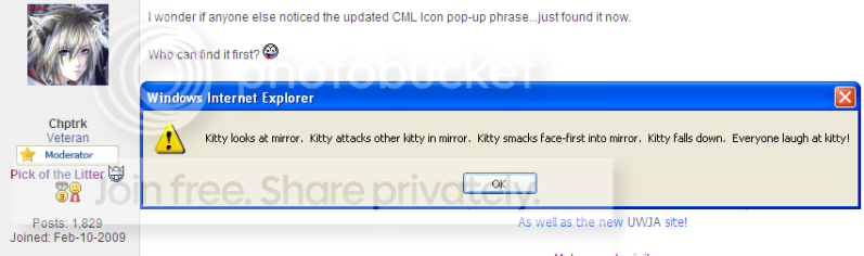 kitty.png