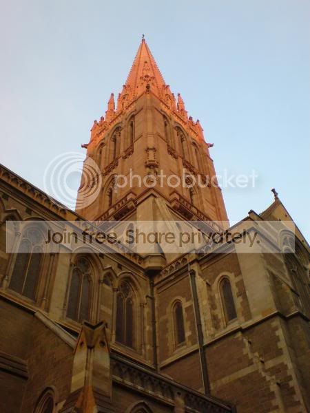 DSC00085.jpg