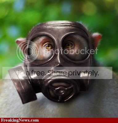 Monkey-Gas-Mask--374481.jpg