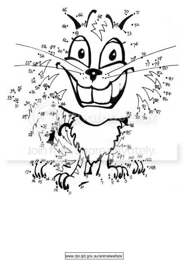 catdottodot.jpg