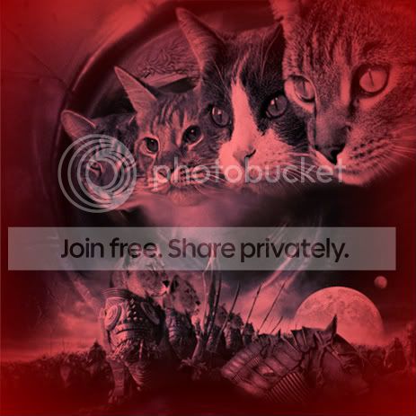 replyheader-may2010-3-1.jpg