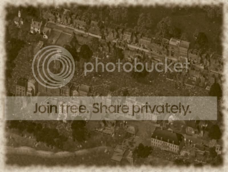 Shulsepia.jpg