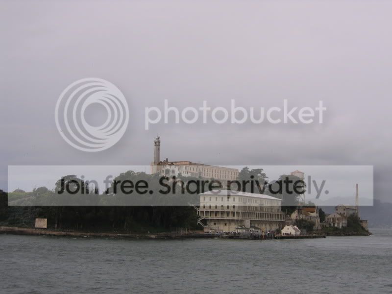 IMG_3377.jpg