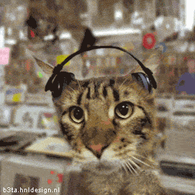 iraj.gif
