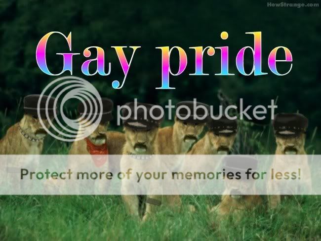 gay_pride.jpg